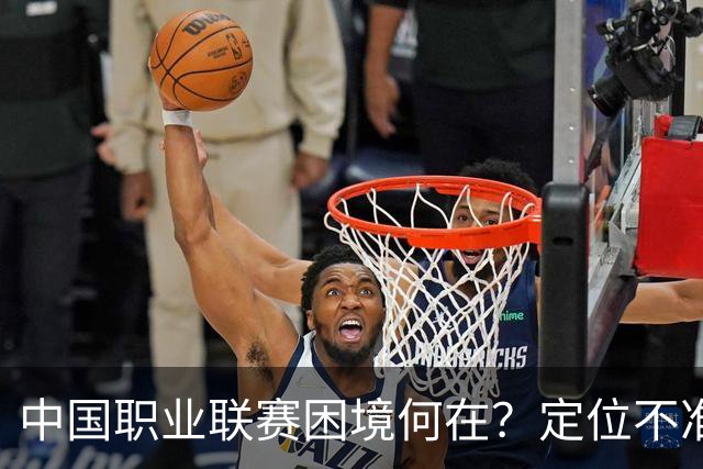 中国职业联赛困境何在？定位不准！理念错位！