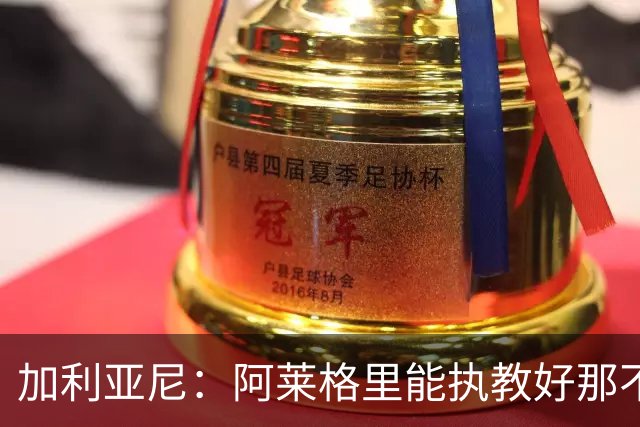 加利亚尼：阿莱格里能执教好那不勒斯，他会根据队内球员制定战术