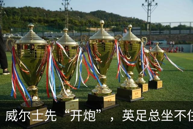 威尔士先“开炮”，英足总坐不住了英超看台上，几万人的呐喊声能把屋顶掀翻，但你能想象吗？就在几天前，有人把枪口对准了国际足联的...