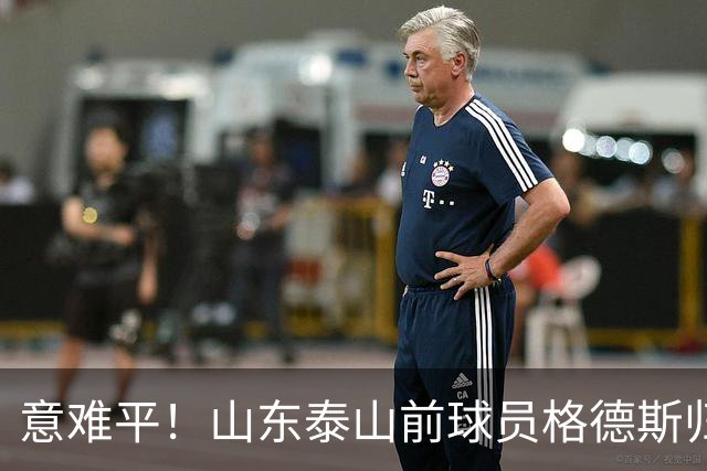 意难平！山东泰山前球员格德斯归化卡塔尔，他本有机会为国足献力