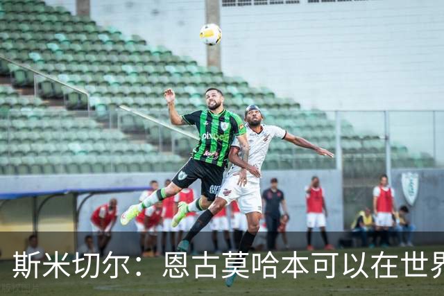 斯米切尔：恩古莫哈本可以在世界杯改变局势，但他能参加下一届
