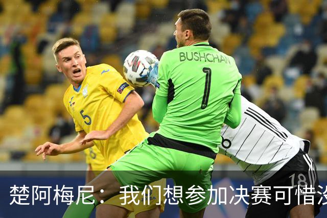 楚阿梅尼：我们想参加决赛可惜没能做到，归根结底都是咎由自取